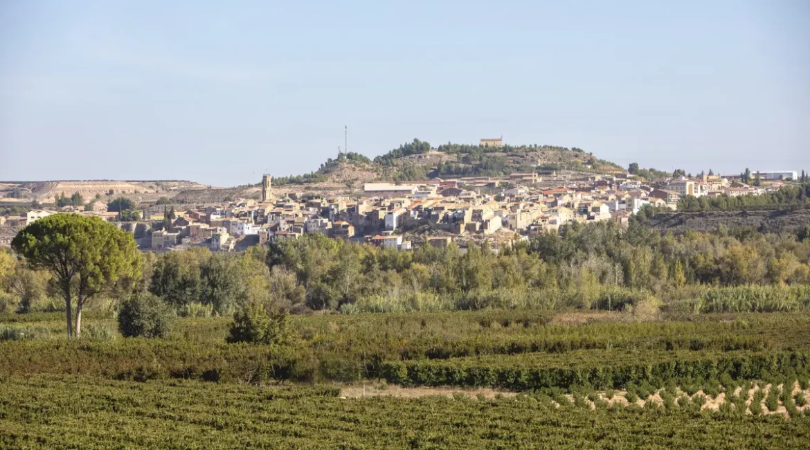 El Institut d’Estudis del Baix Cinca celebra los 30 años de la ‘Aproximació descriptiva a la llengua de Saidí’ con un coloquio especial