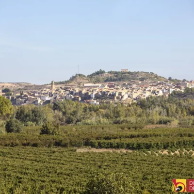El Institut d’Estudis del Baix Cinca celebra los 30 años de la ‘Aproximació descriptiva a la llengua de Saidí’ con un coloquio especial