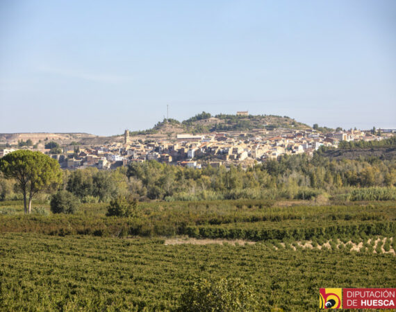 Zaidín