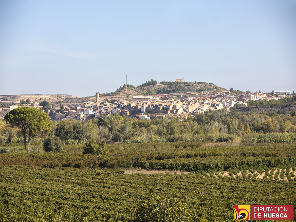 Zaidín