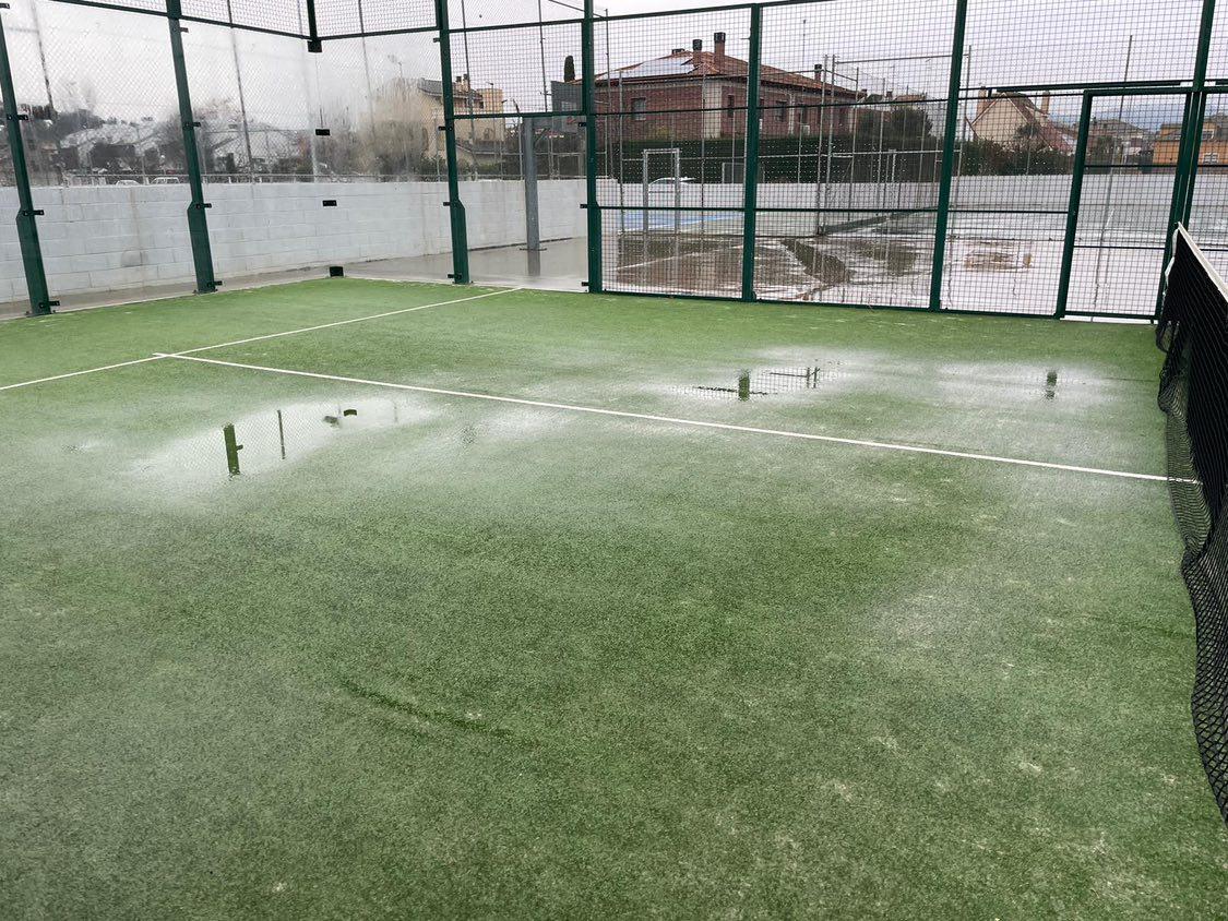 Tenis
