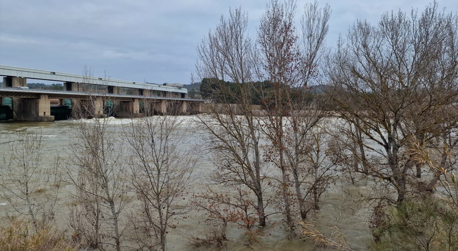 Ebro en Mequinenza