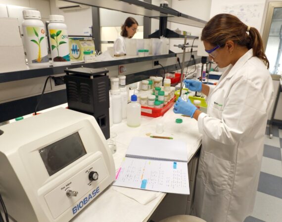 Agrostock laboratorio