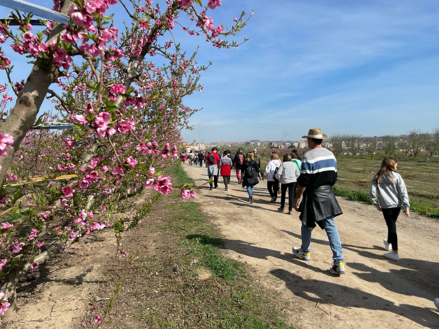 primavera