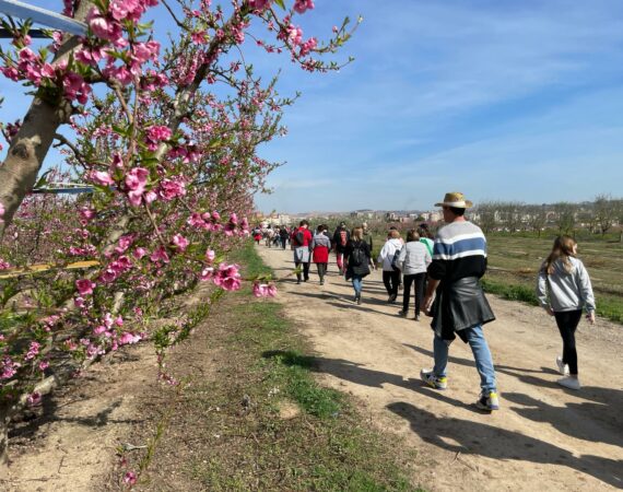 primavera
