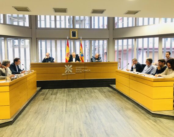 Pleno-marzo Comarca