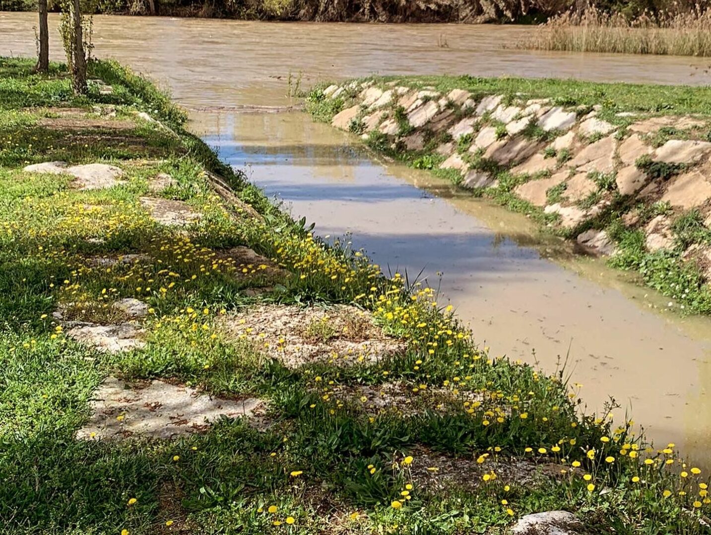 crecida Cinca