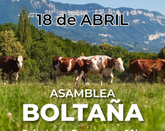 Boltaña