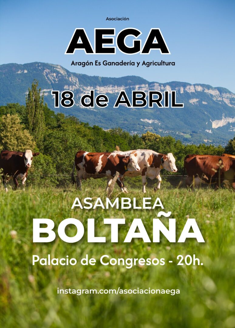 Boltaña