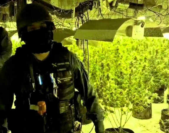 GC Marihuana