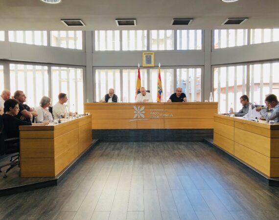 Pleno Comarca Mayo