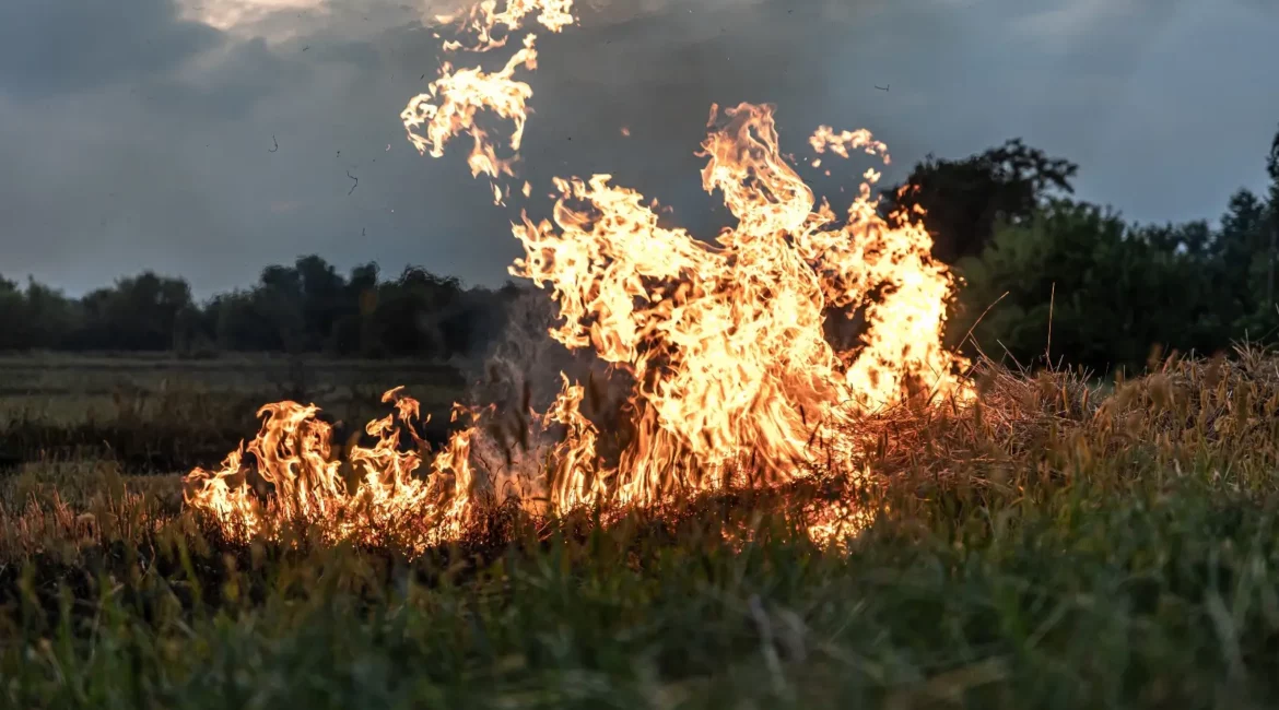Bando para la prevención de incendios en el monte de Fraga