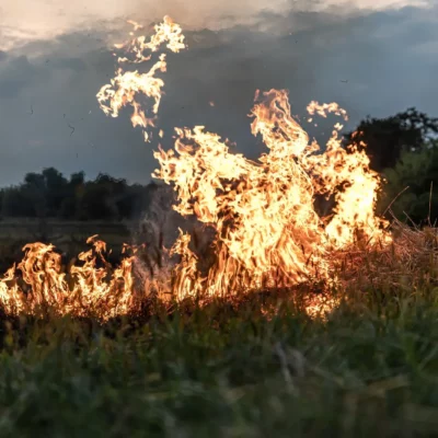Aragón afronta uno de los veranos más complicados frente al fuego: calor extremo, incendios y un llamamiento a la prevención