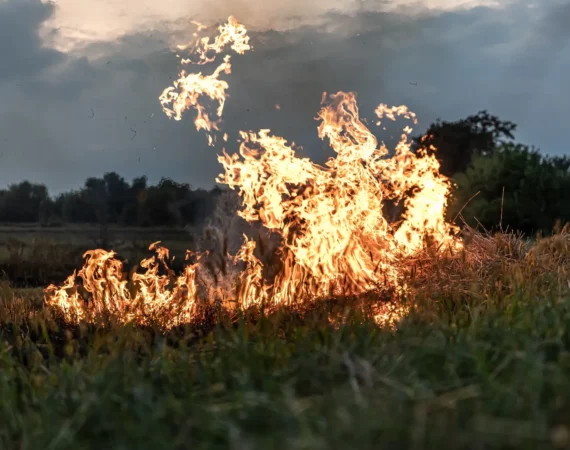 Bando para la prevención de incendios en el monte de Fraga