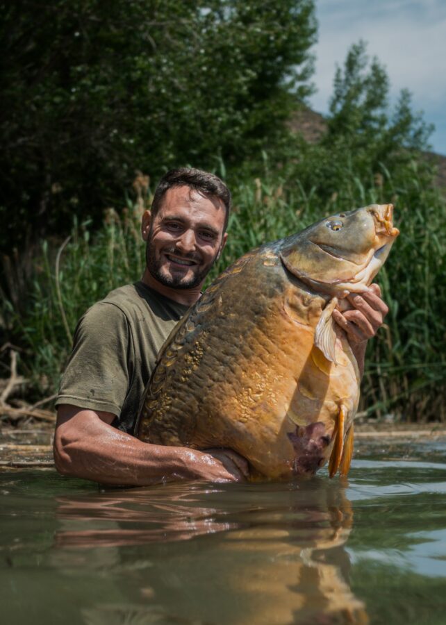 Carpa Real en el agua