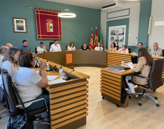 pleno mayo