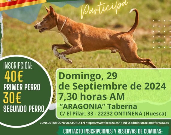 Podenco
