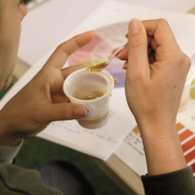 La apicultura centra la próxima visita guiada de ‘Sabores e Historias’ en Fraga