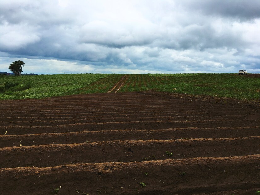 suelo agricultura