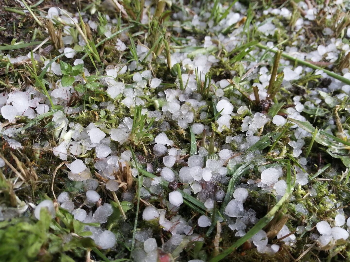 granizo