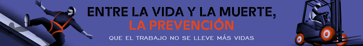 Seguridad y Salud DGA 2025