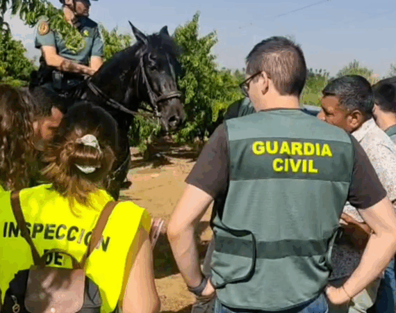 Caballeria Guardia Civil