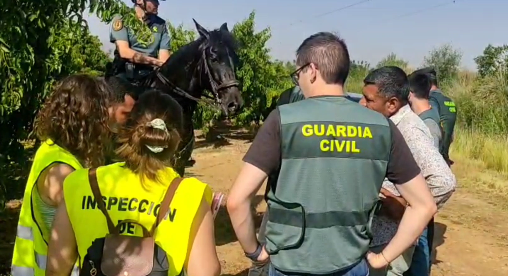 Caballeria Guardia Civil