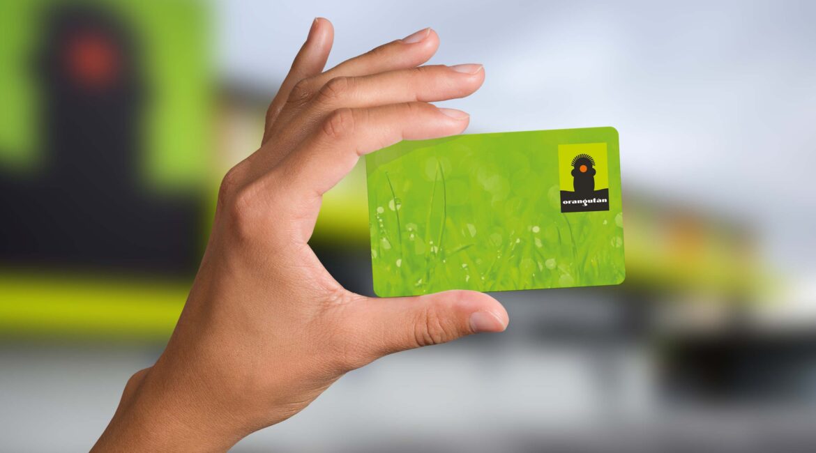 Te contamos como conseguir un 4% de ahorro en tus compras de Orangután Fraga