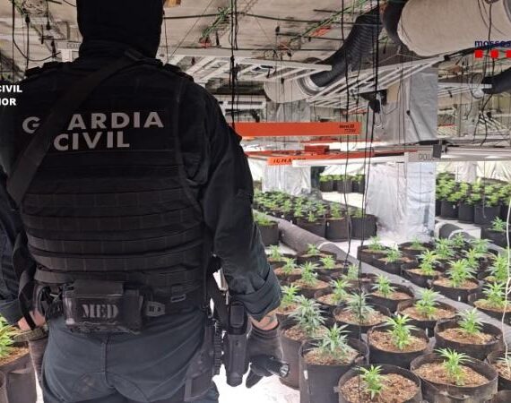 Guardia Civil y Mossos d´Esquadra desarticulan una organización criminal dedicada al cultivo de cannabis en Aragón y Cataluña