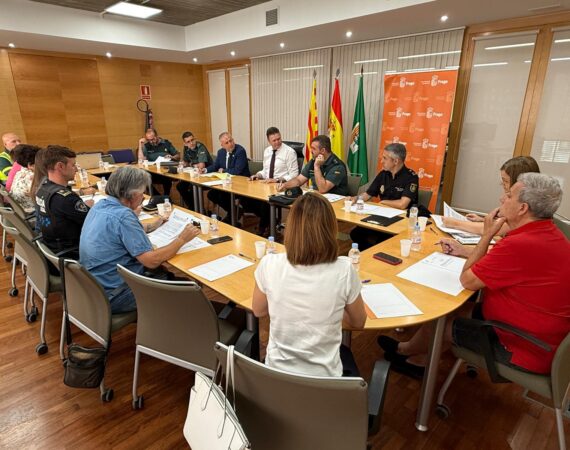 junta local seguridad