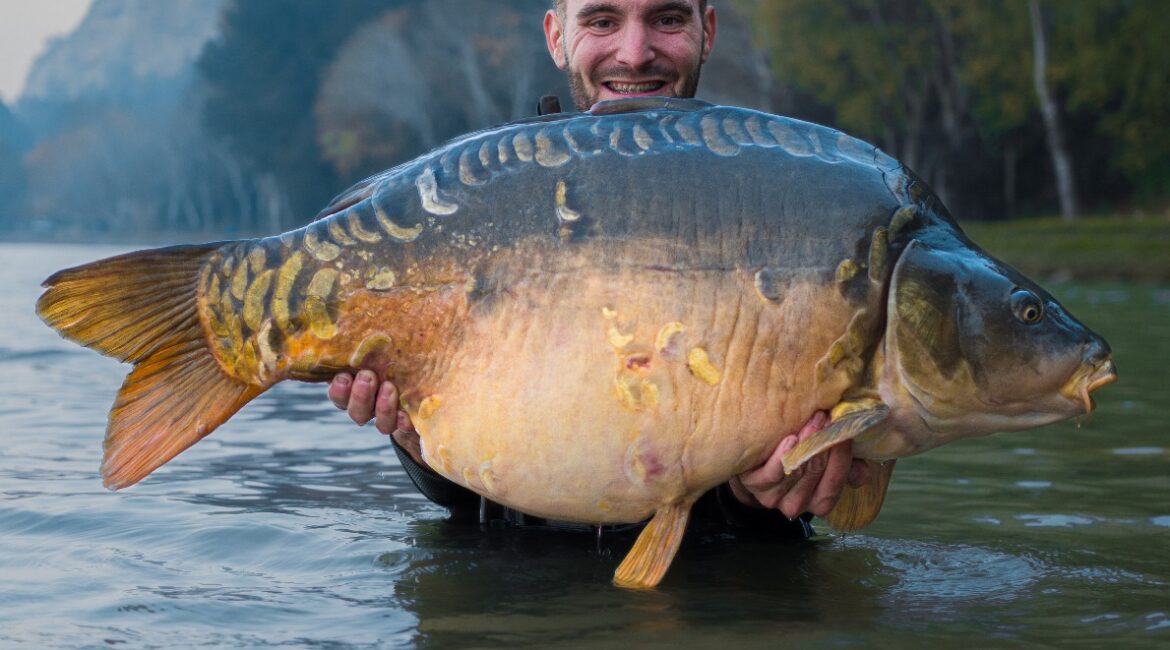 Pescan una carpa de casi 28Kg en Mequinenza
