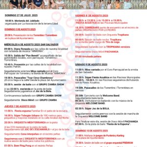 programa Torrente