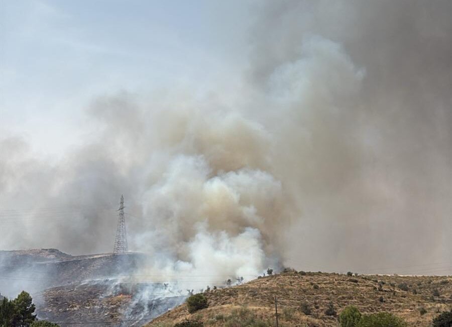 Incendio en una parte del monte en el término municipal de Torrente de Cinca