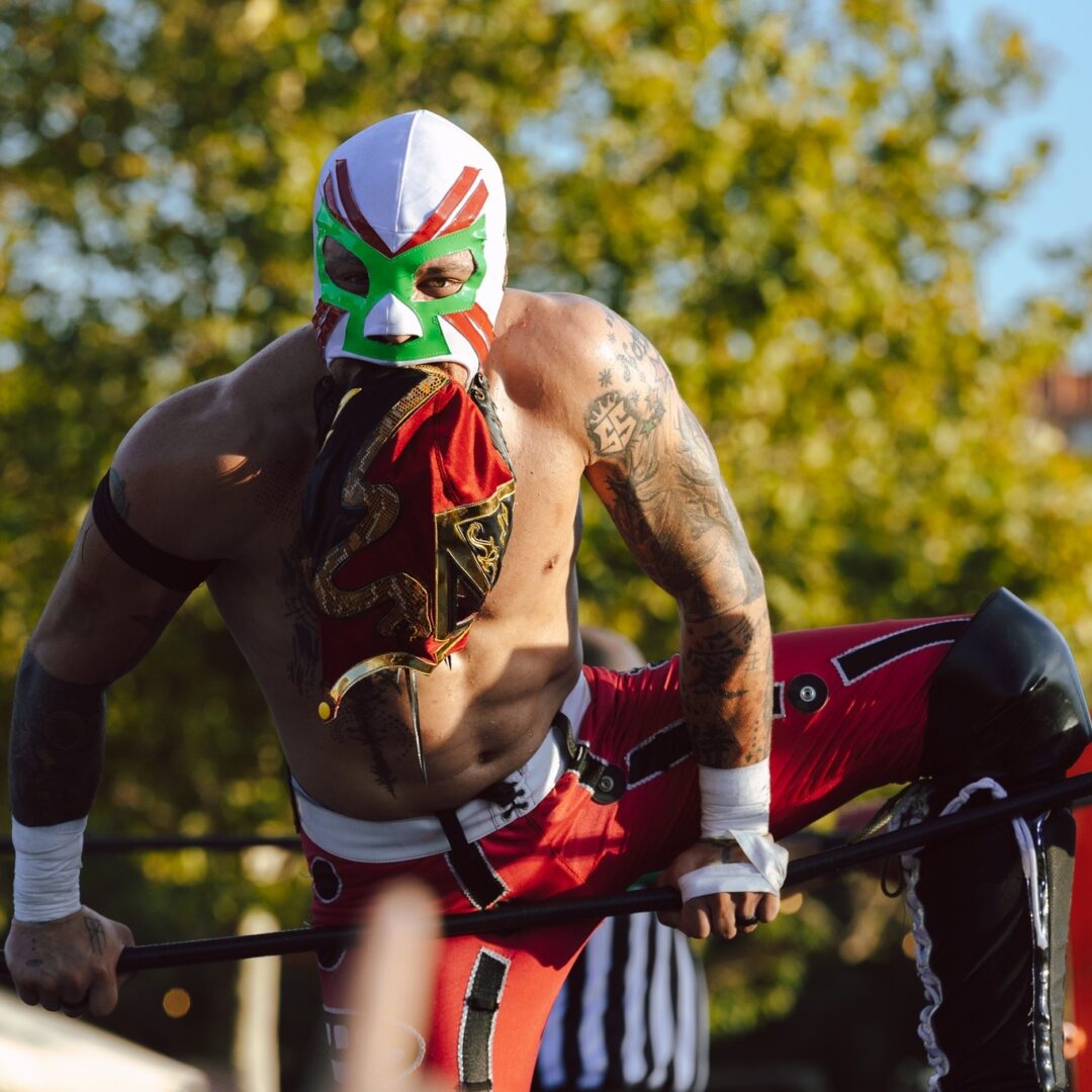 Lucha