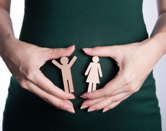 Oferta de cursos del Instituto Aragonés de la Mujer