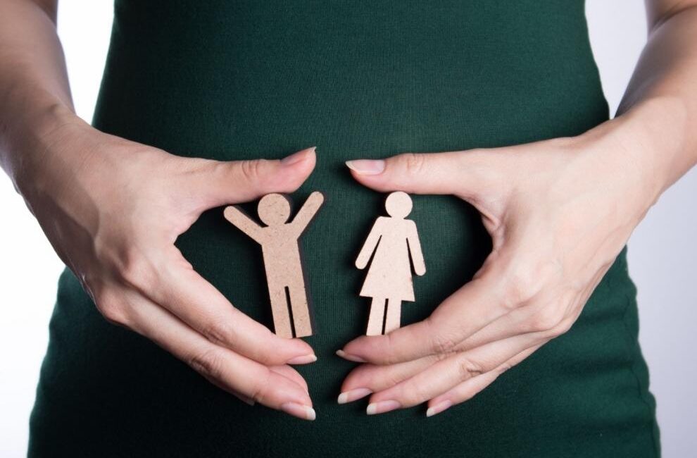 El Instituto Aragonés de la Mujer amplia su oferta con 18 nuevos cursos de formación