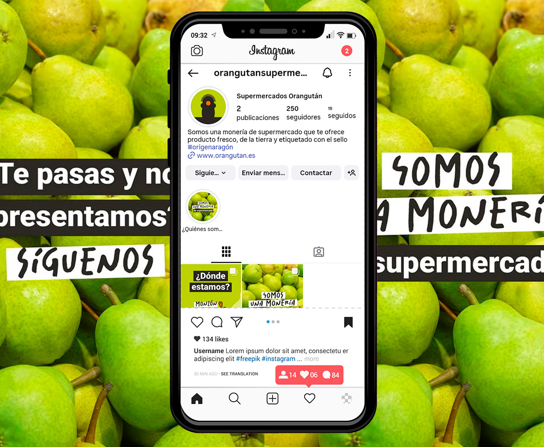 Instagram Orangután