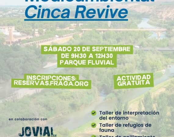 Taller Cinca Revive