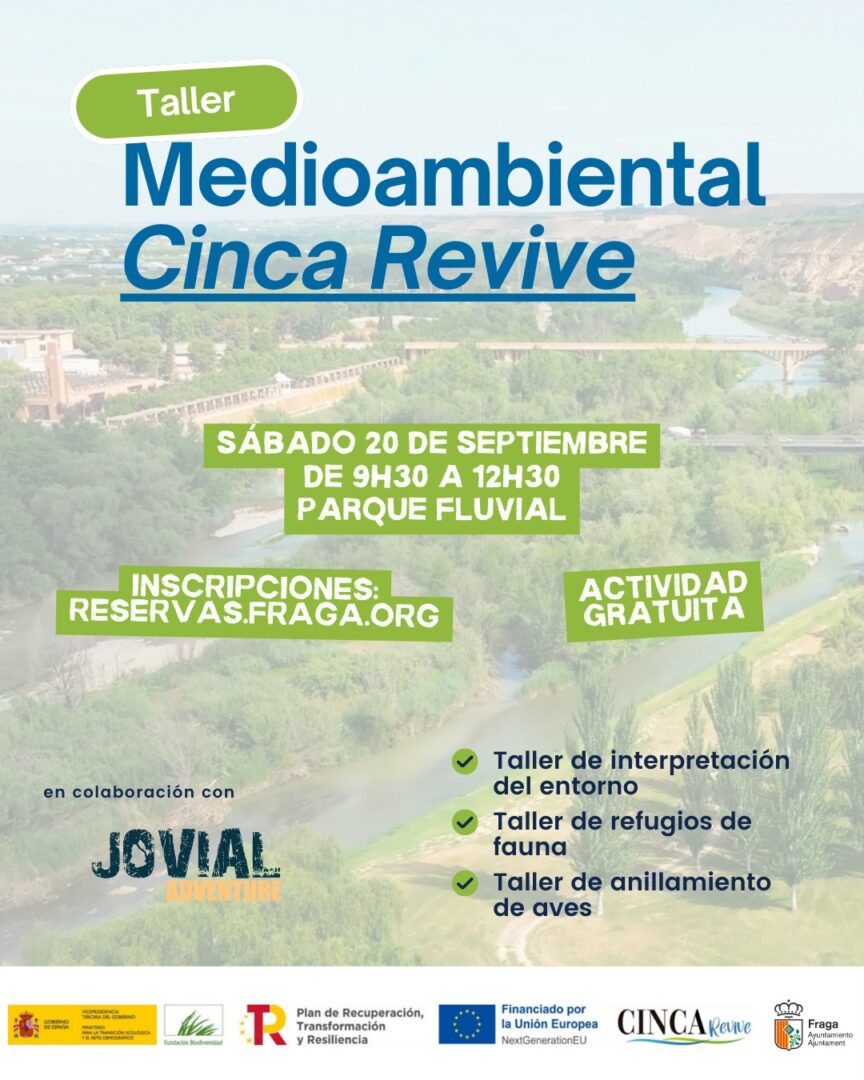 Taller Cinca Revive