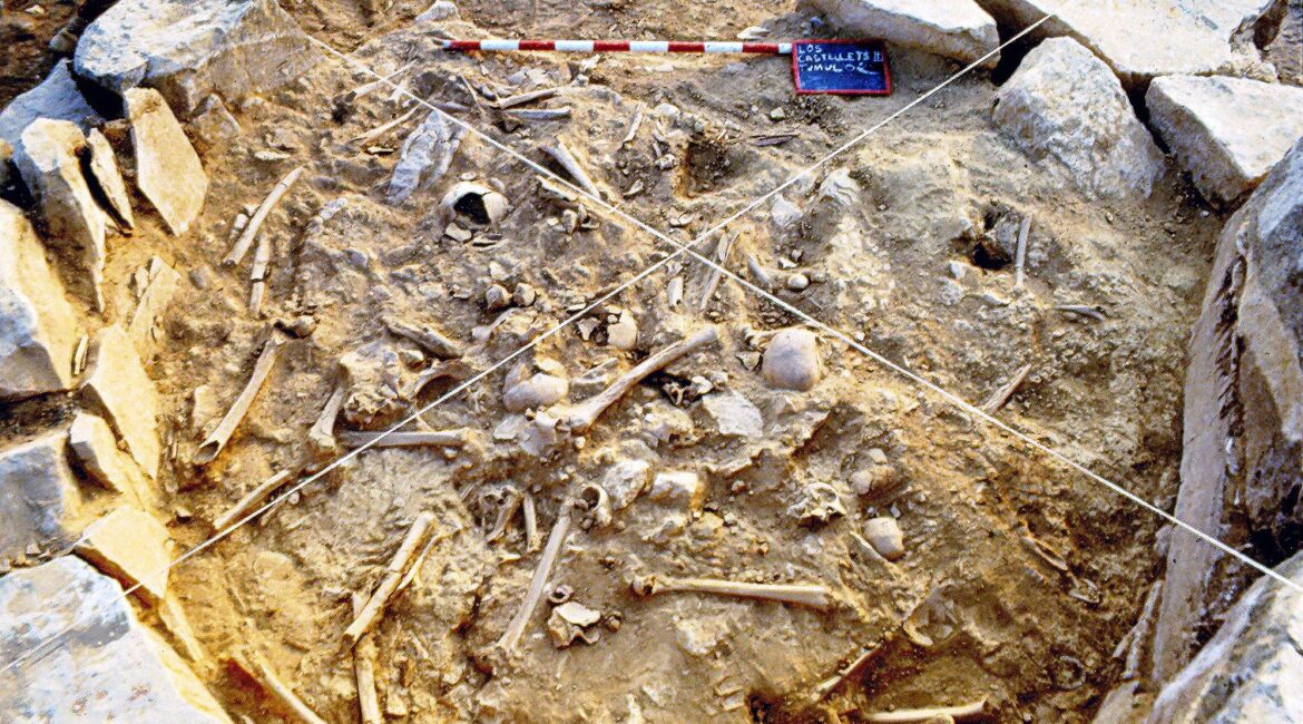 Un estudio de la Universidad de Zaragoza revela prácticas endogámicas durante la Edad de Bronce en un yacimiento de Mequinenza