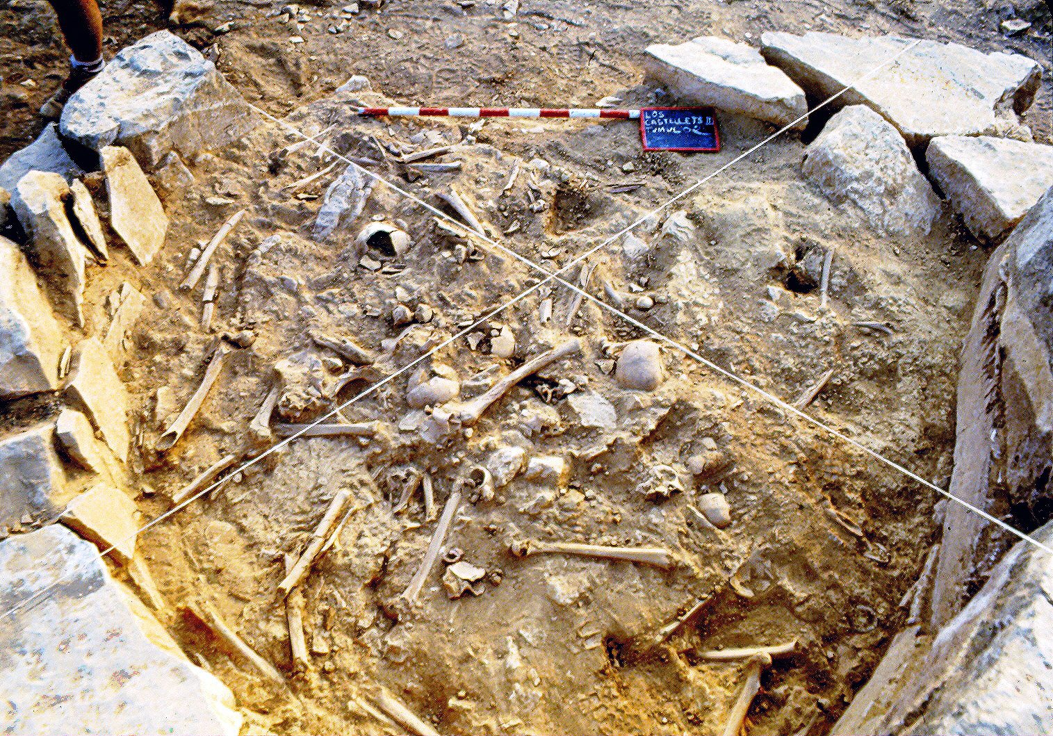 endogamia mequinenza 1