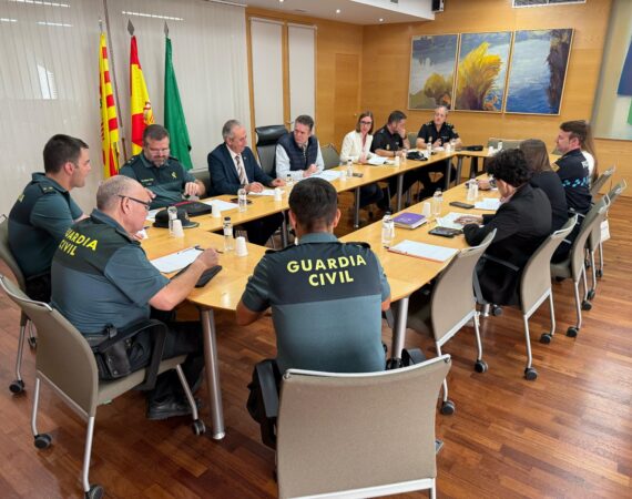 junta local seguridad Pilar