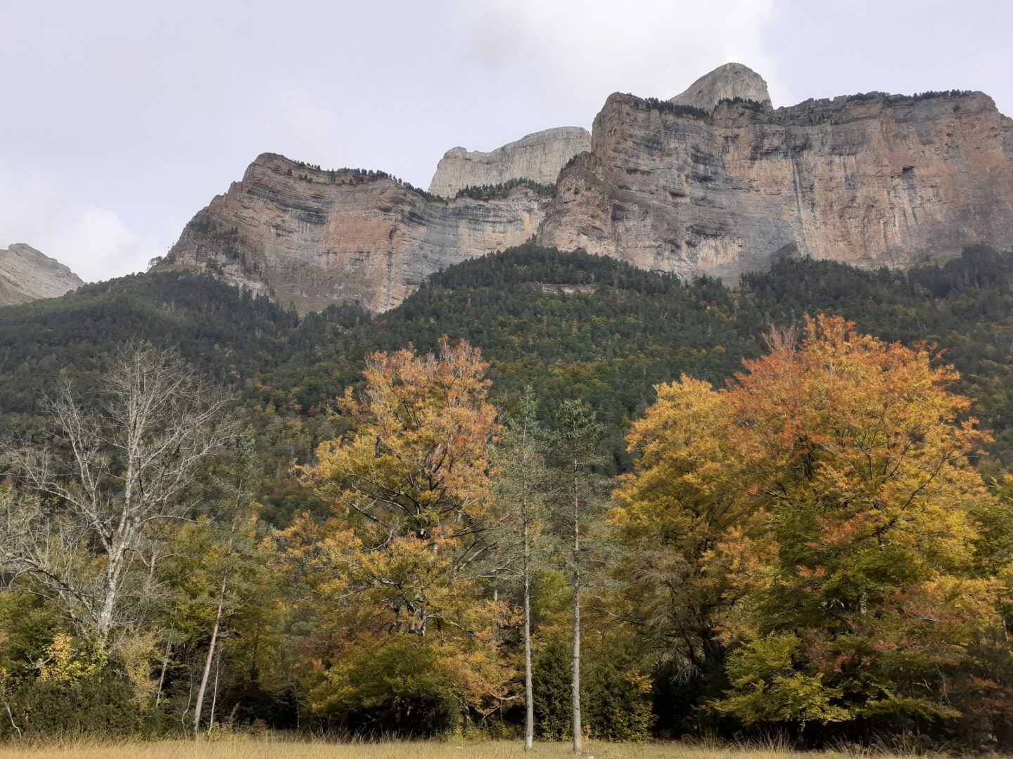 ordesa