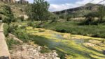 Proyecto para mitigar nitratos