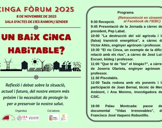 Cinga Forum programa