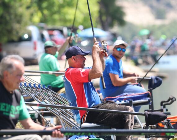 pesca mequinenza