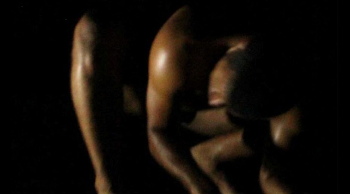 FragaScena acoge el espectáculo de danza “Espécie”