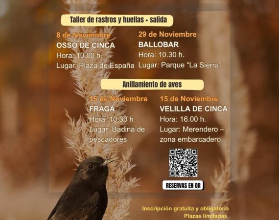 comarca color otoño