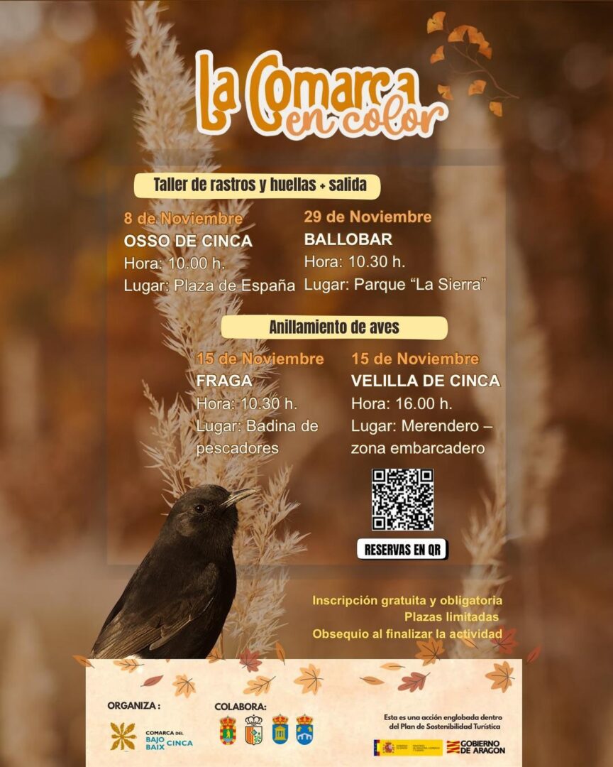 comarca color otoño