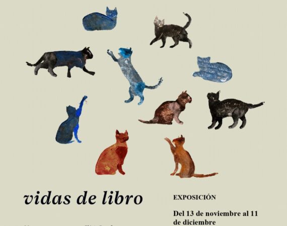 compañía ilustrada 2025